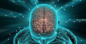Showing brain connections
