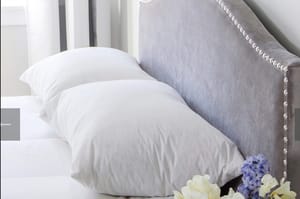 St geneve down pillows