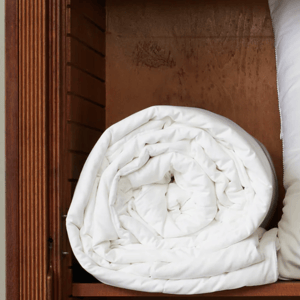 Gingerlily Silk Filled Comforter