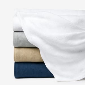 Sferra Tavira Cotton Blanket