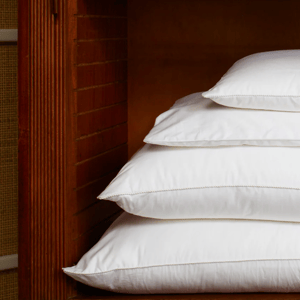 GingerLily Pure Silk Pillows