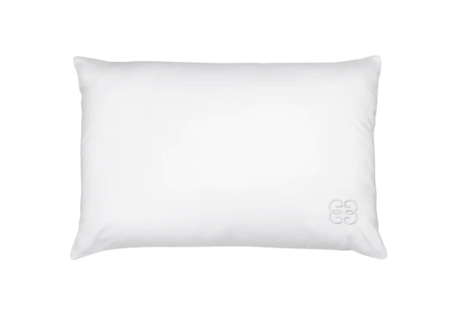 GingerLily Silk Blend Pillows