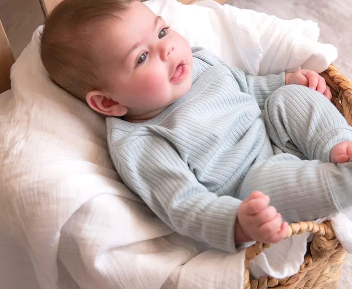 Naturepedic Organic Muslin Swaddle Blankets 4-Color Pack