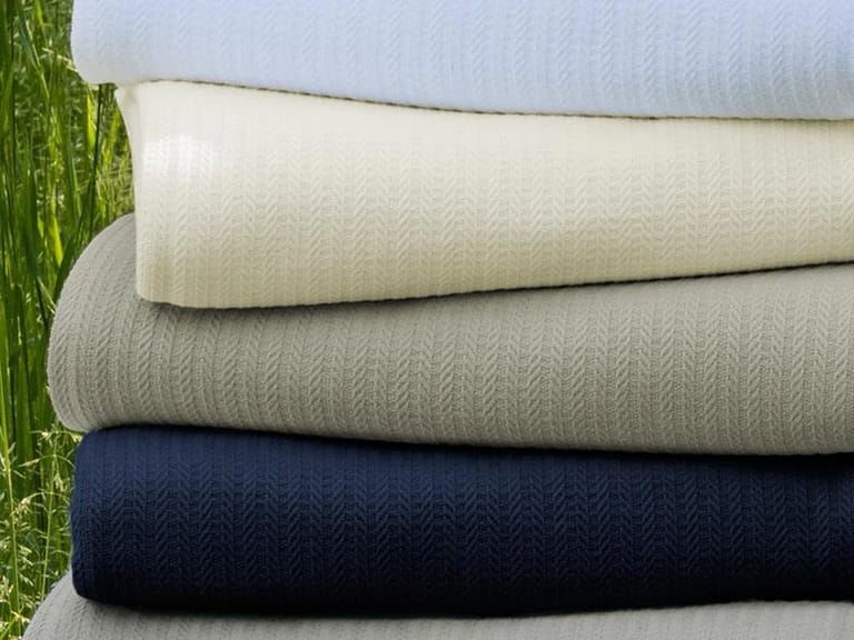 Sferra Grant  Cotton Blanket