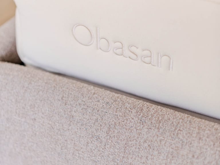 The Essential Obasan 8