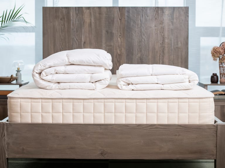 Naturepedic Down Duvet Insert Comforter