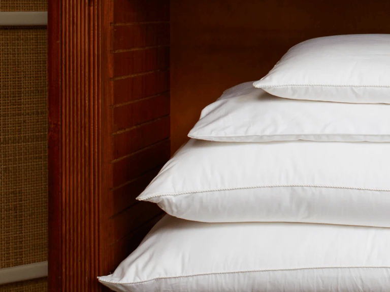 GingerLily Pure Silk Pillows