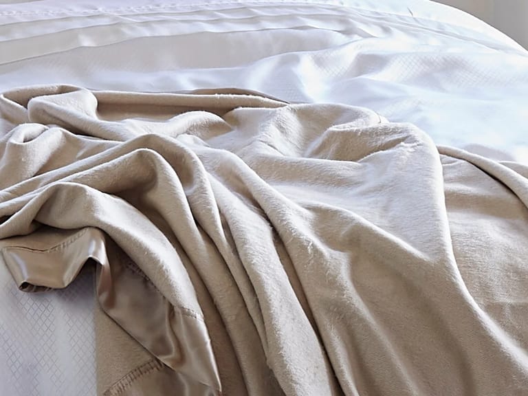 Gingerlily Silk Blanket image