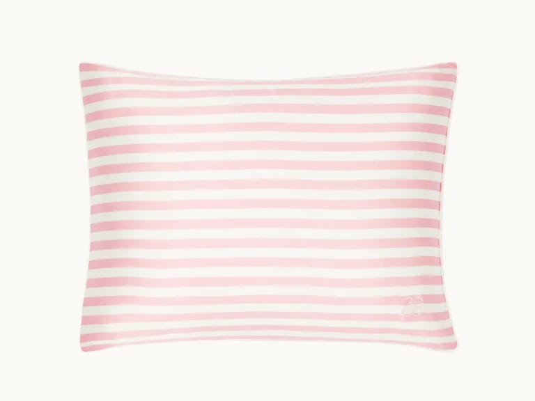 GingerLily Silk Blend Travel Pillows image