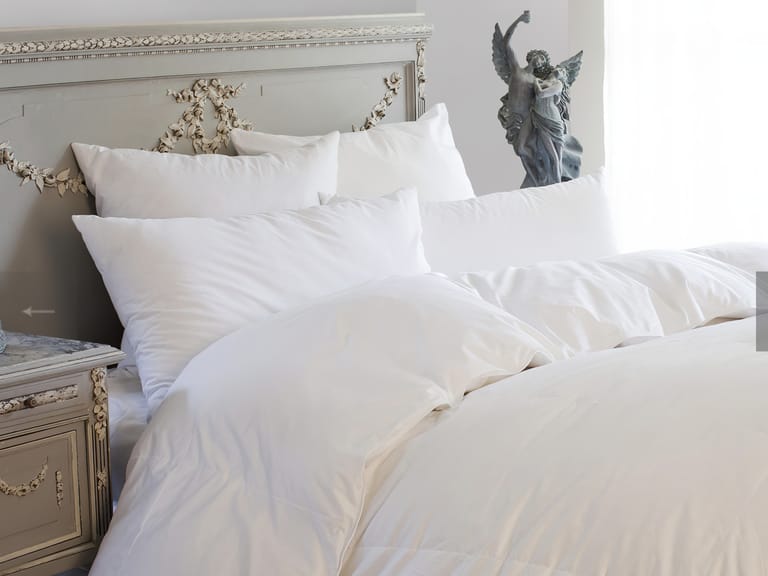 St Geneve Ziegler Goose Down Duvet image