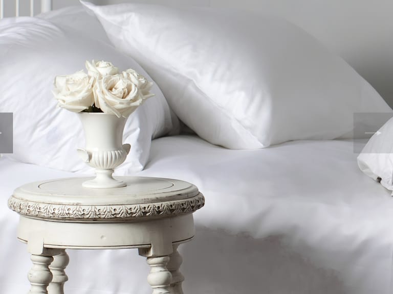 St Geneve Lajord Down Pillow