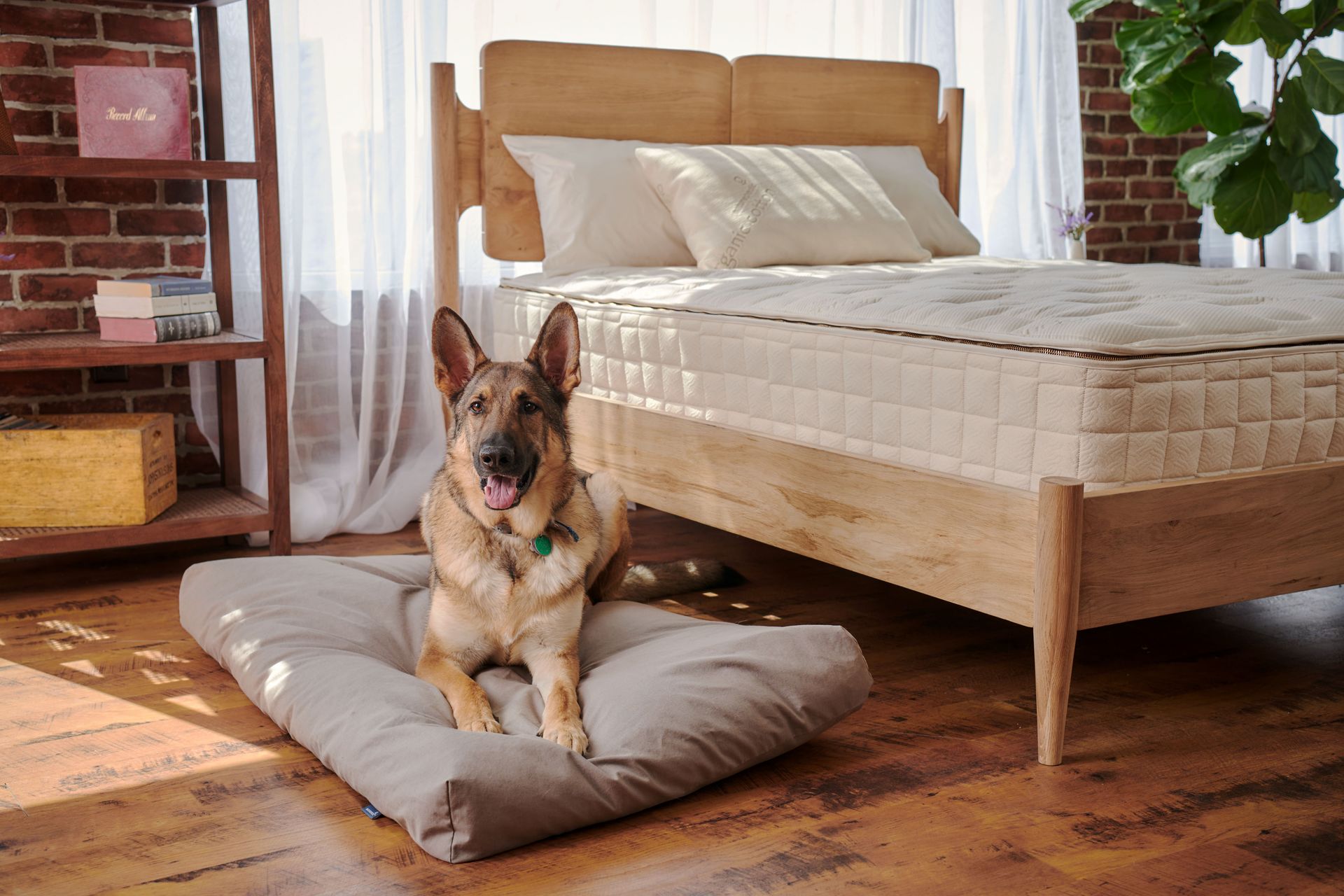 Naturepedic Organic Pet Bed with Washable Waterproof Cover