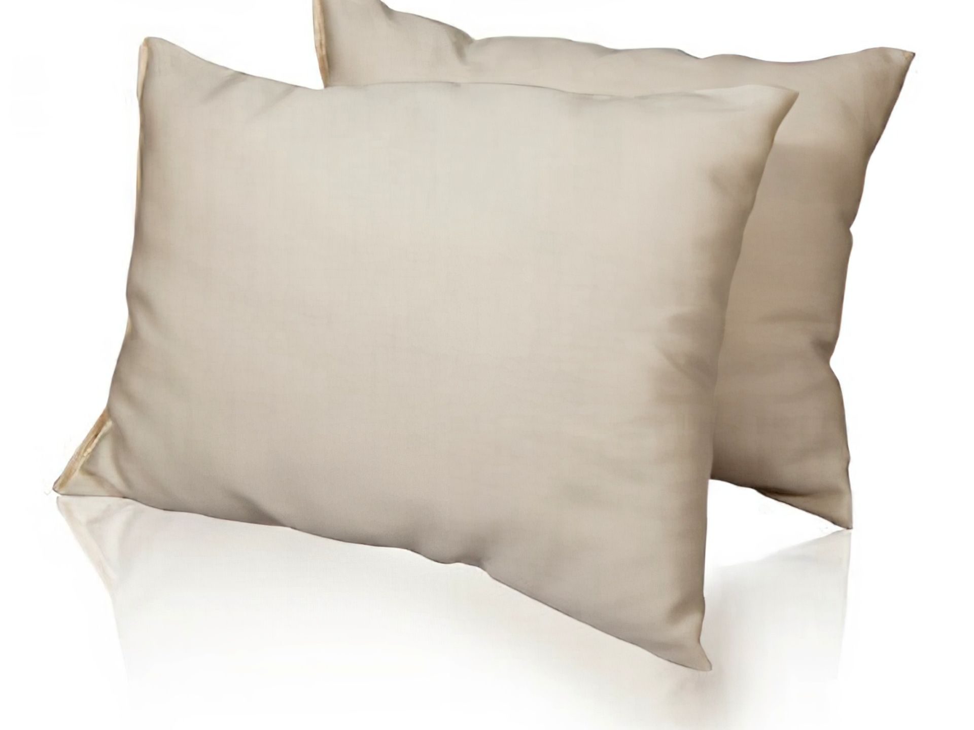 Sachi Organics Organic Cotton Bed Pillow Extra Thick King