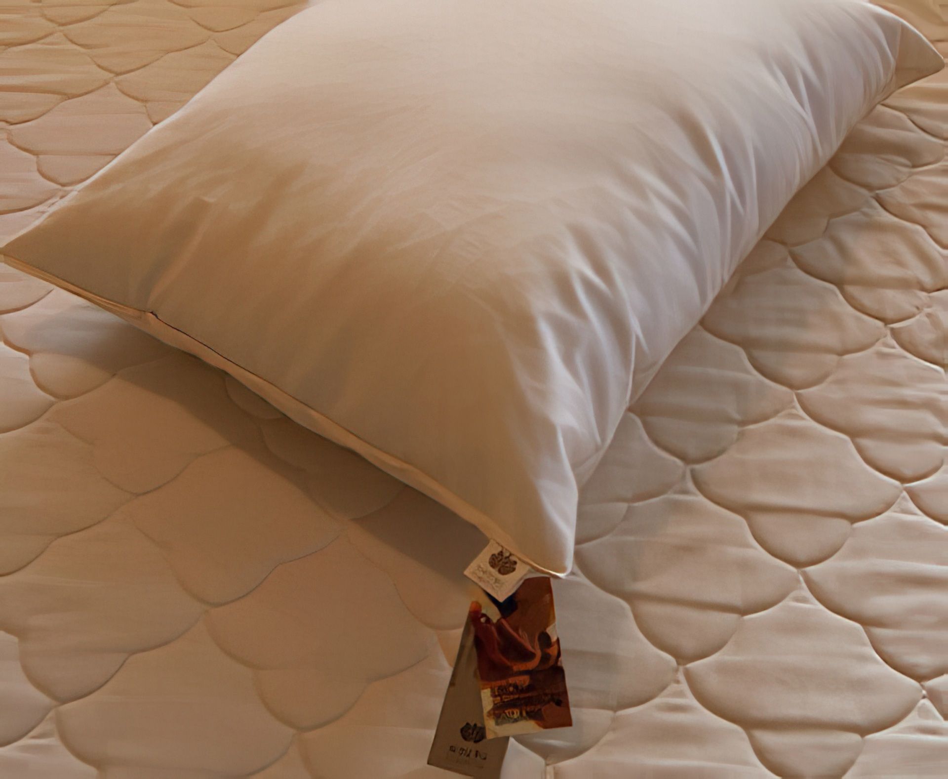 Sachi Organic Adjustable Kapok Bed Pillow Extra Thick Kapok