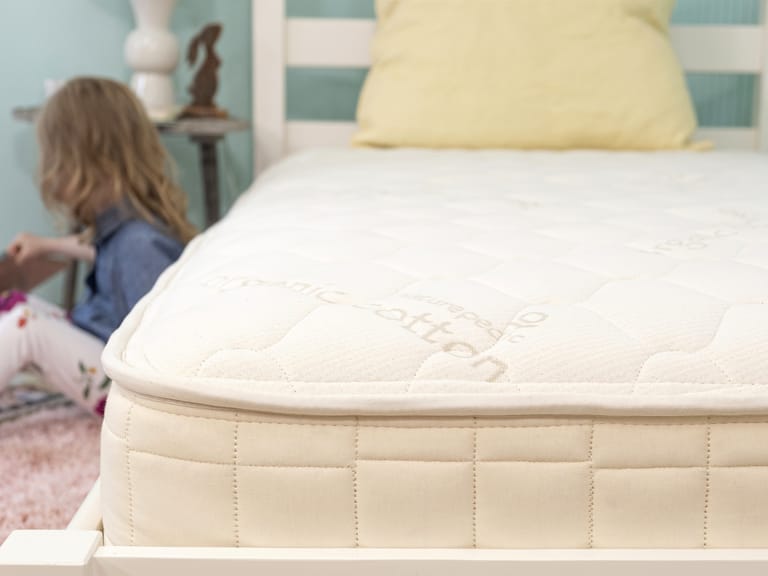 Naturepedic 2 in 1 twin mattress online