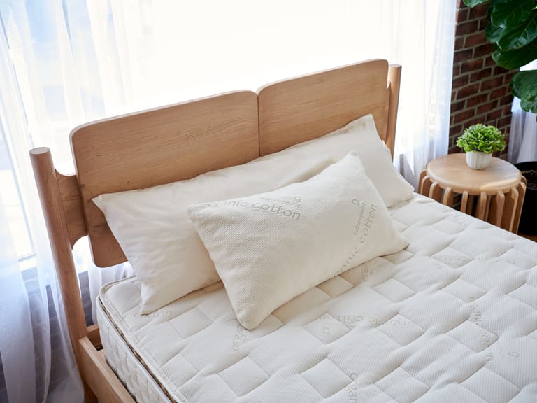 Organic bed pillows discount