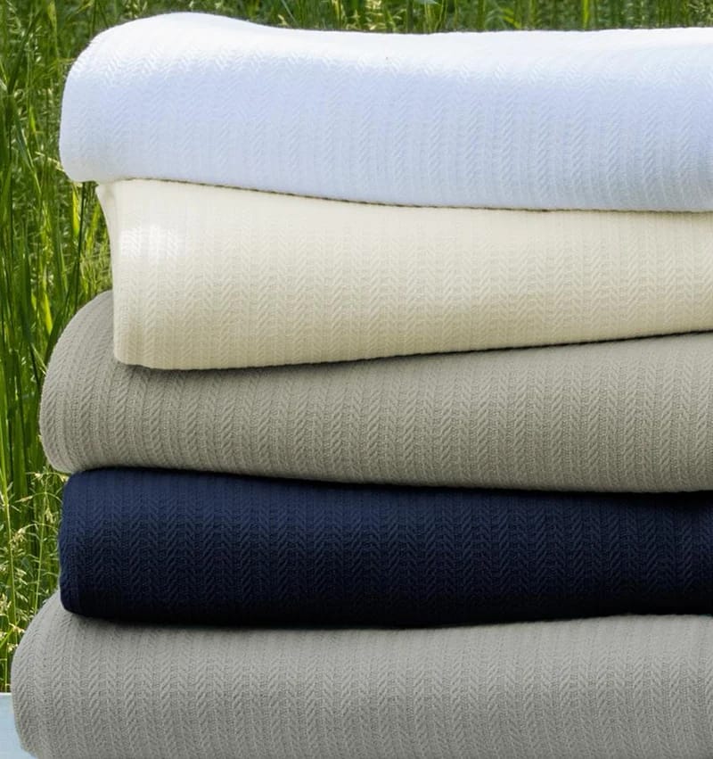 Sferra grant blanket outlet