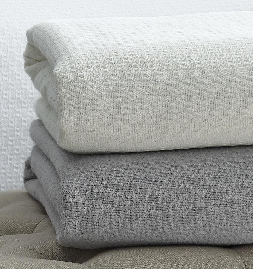 Sferra cotton blanket outlet