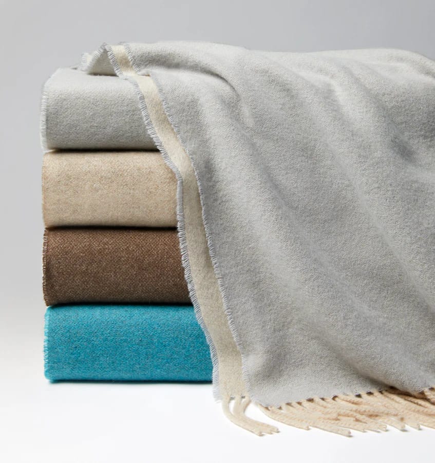 Sferra blanket 2025