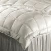 The Clean Bedroom Manhattan Goose Down Comforter image