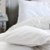 St Geneve Ziegler Goose Down Comforter image