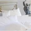 St Geneve Ziegler Down Pillow image