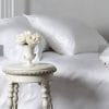 St Geneve Lajord Down Pillow image