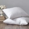 St Geneve Lajord Down Pillow image