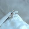 Perle Silk Charmeuse Silk Duvet Cover image
