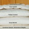 Holy Lamb Organics All Natural Wool Comforter image