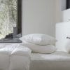 Coyuchi Organic Cotton Mattress Pad image