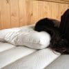 Holy Lamb Organics All-Natural Orthopedic Neck Pillow image