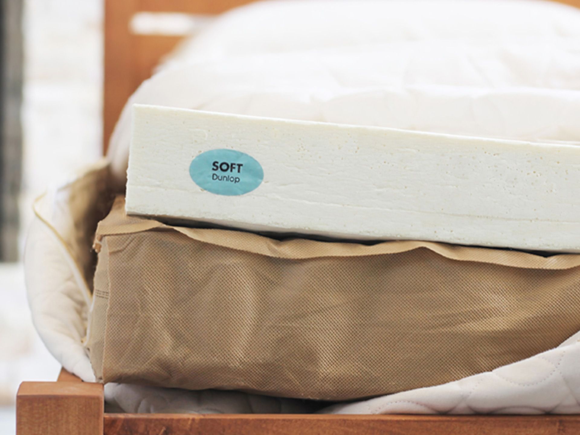 Organic hotsell soft mattress