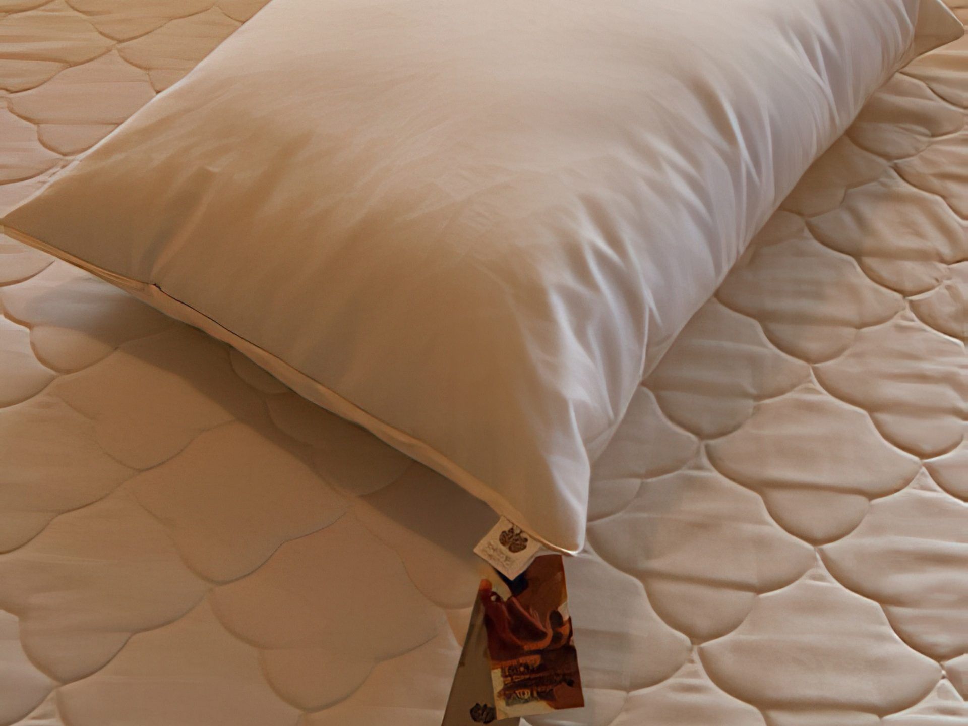 Thick pillow 2025