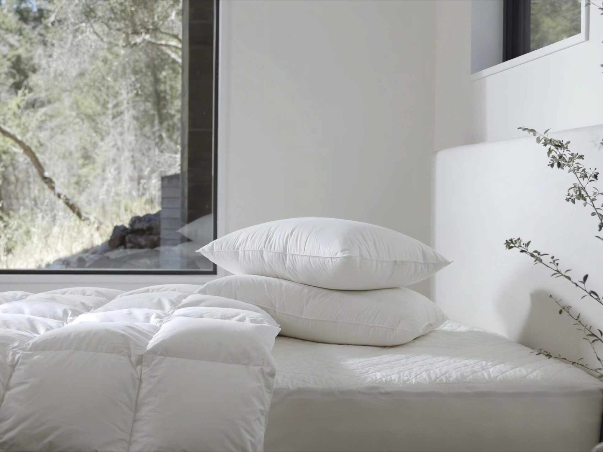 COYUCHI Organic Cotton Pillow Protector Protectors