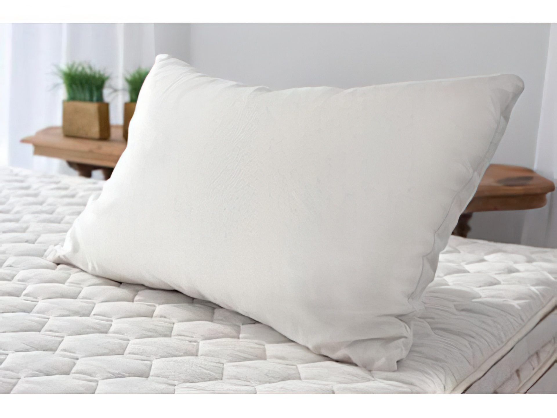 Bed Pillow, Organic Cotton Bed Pillow, Organic Wool Pillow