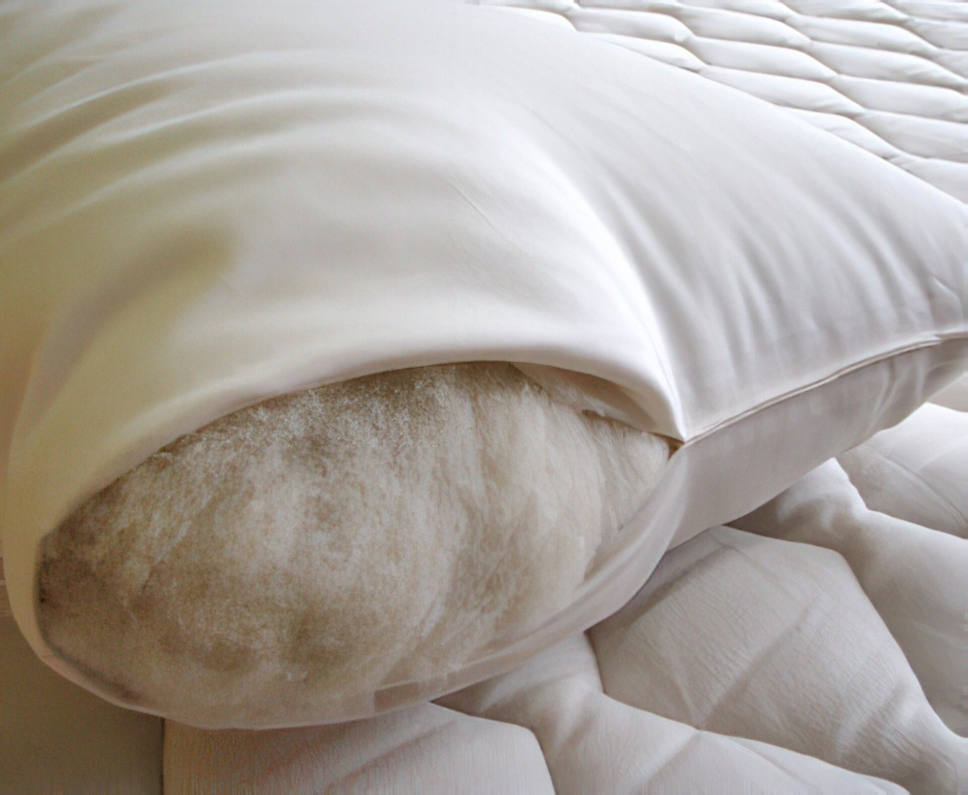 Wool-Filled Bed Pillows - Holy Lamb Organics