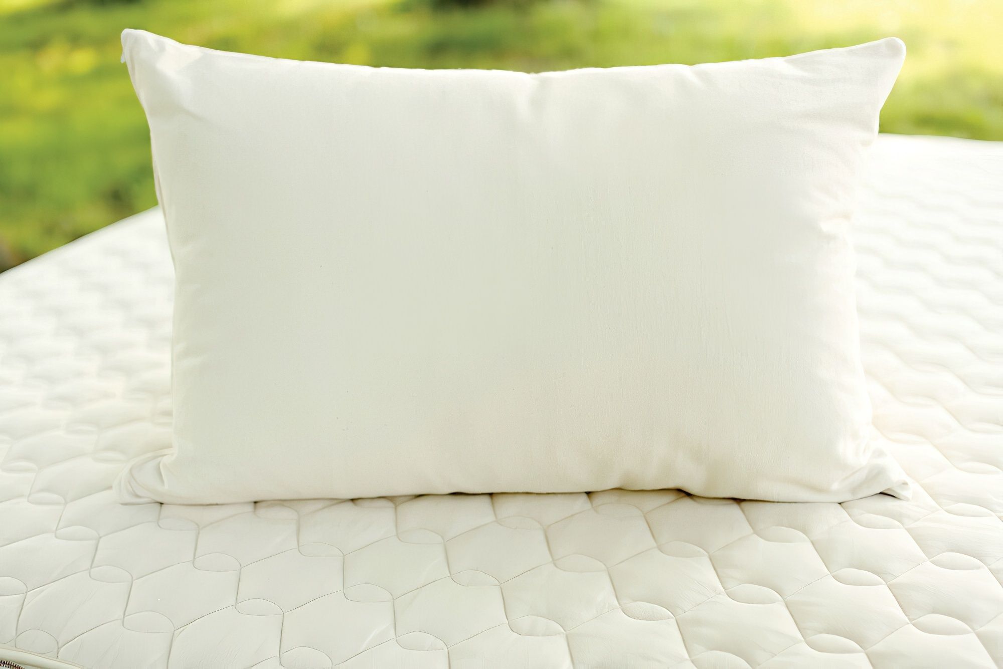 Therapedic natural choice hotsell latex foam pillow