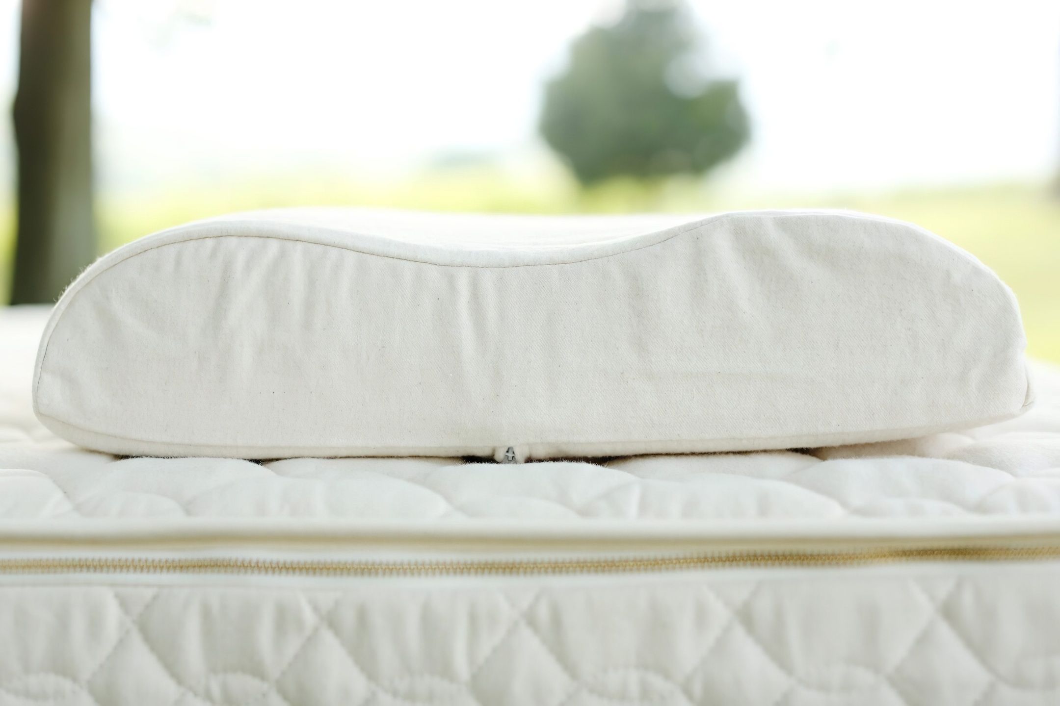 Savvy Rest Natural Latex Pillow Contour Contour