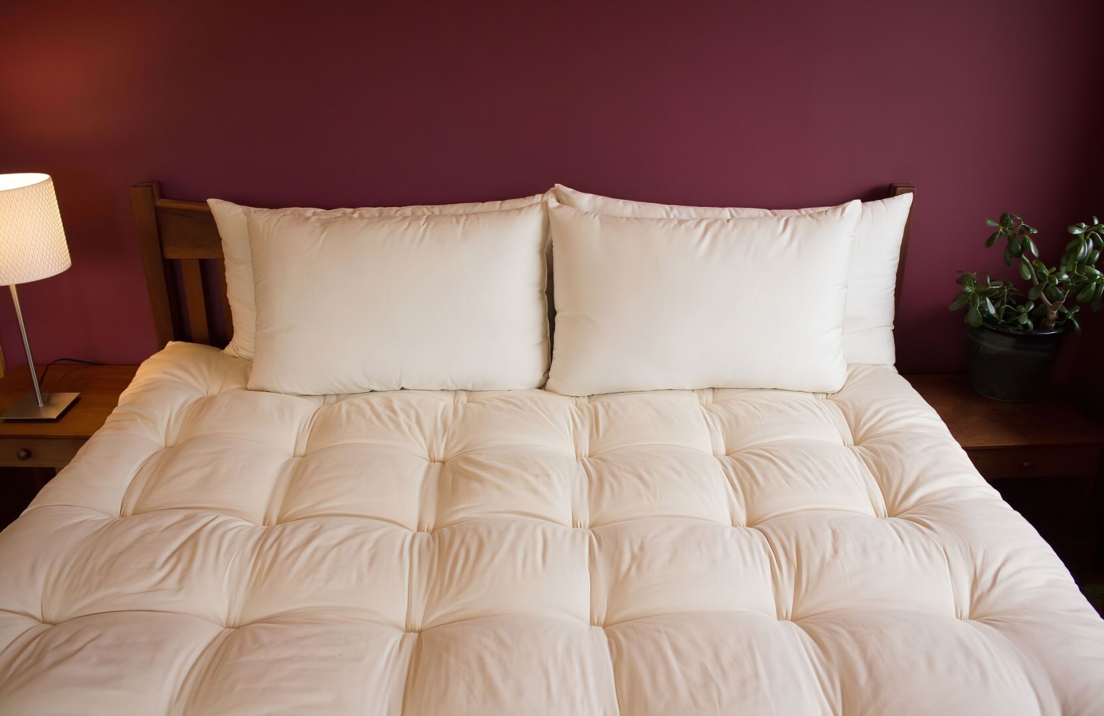 Holy lamb online organics pillow
