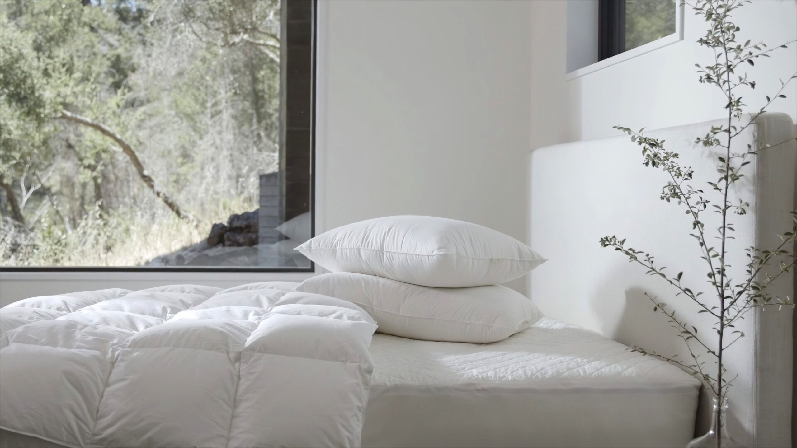 Coyuchi pillow on sale protector