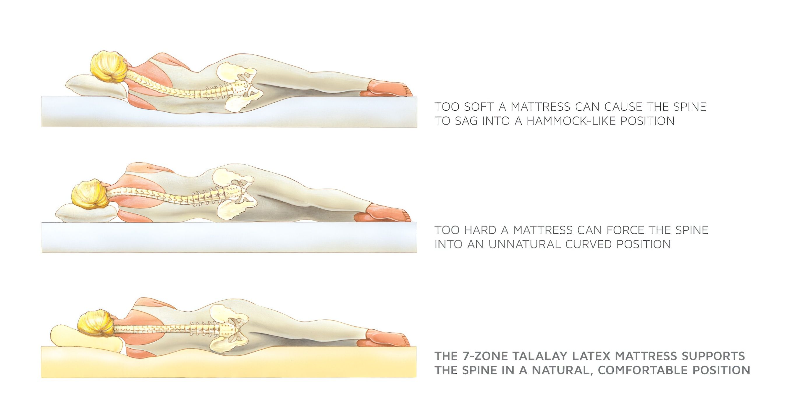 Royal Pedic Premier Natural Latex Organic Quilttop Mattress Natural