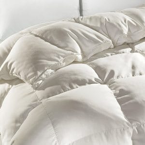 The Clean Bedroom Manhattan Goose Down Comforter