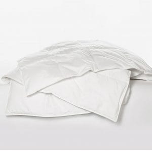 Ogallala Mariposa Comforter/Duvet