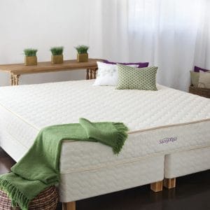 Savvy Rest Serenity Latex Mattress