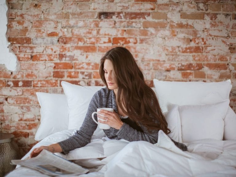 Ogallala Mariposa Comforter/Duvet image