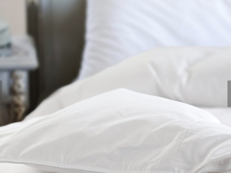 St Geneve Ziegler Goose Down Comforter image