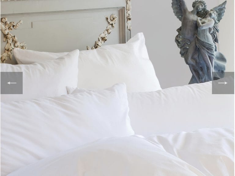 St Geneve Ziegler Down Pillow image