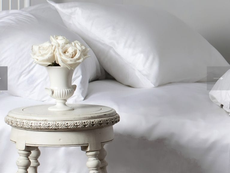 St Geneve Lajord Down Pillow image