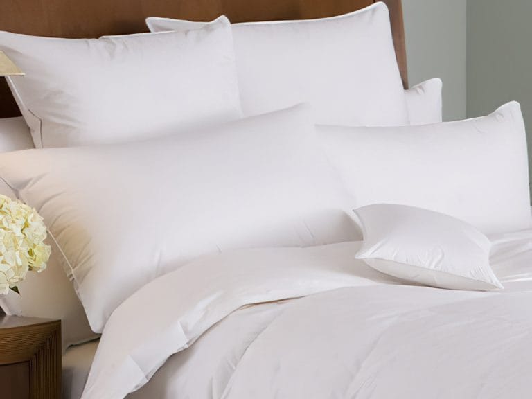 Overstock down shop pillows